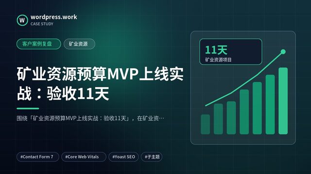 矿业资源预算MVP上线实战：验收11天｜客户案例复盘｜矿业资源