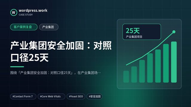 产业集团安全加固:对照口径25天|客户案例复盘|产业集团
