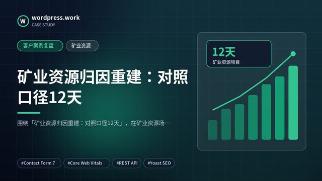 矿业资源归因重建:对照口径12天|客户案例复盘|矿业资源