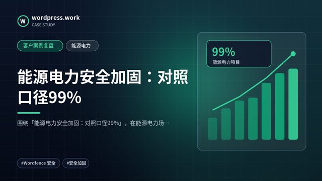 能源电力安全加固：对照口径99%｜客户案例复盘｜能源电力