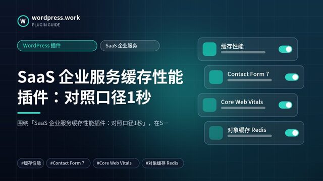 SaaS 企业服务缓存性能插件:对照口径1秒|WordPress 插件|SaaS 企业服务