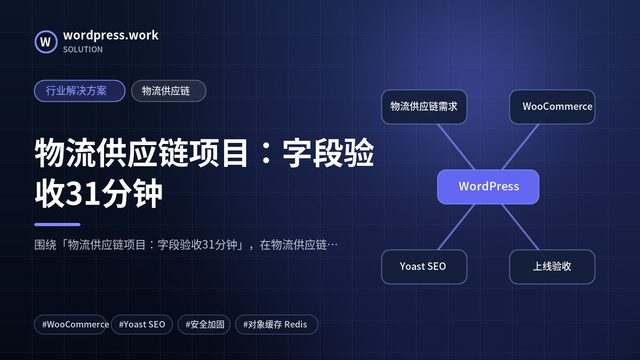 物流供应链项目：字段验收31分钟｜行业解决方案｜物流供应链