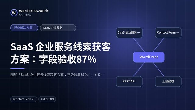 SaaS 企业服务线索获客方案:字段验收87%|行业解决方案|SaaS 企业服务