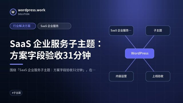 SaaS 企业服务子主题:方案字段验收31分钟|行业解决方案|SaaS 企业服务