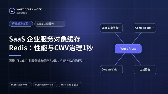 SaaS 企业服务对象缓存 Redis：性能与CWV治理1秒｜行业解决方案｜SaaS 企业服务