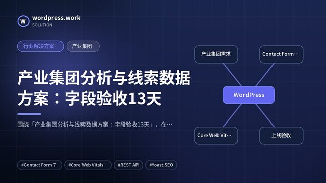 产业集团分析与线索数据方案：字段验收13天｜行业解决方案｜产业集团