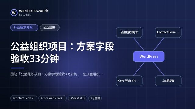 公益组织项目：方案字段验收33分钟｜行业解决方案｜公益组织