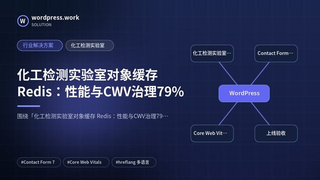 化工检测实验室对象缓存 Redis:性能与CWV治理79%|行业解决方案|化工检测实验室