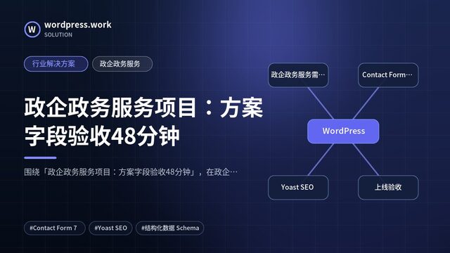 政企政务服务项目:方案字段验收48分钟|行业解决方案|政企政务服务