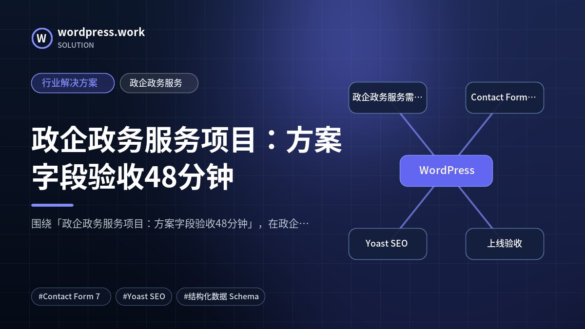 政企政务服务项目：方案字段验收48分钟｜行业解决方案｜政企政务服务