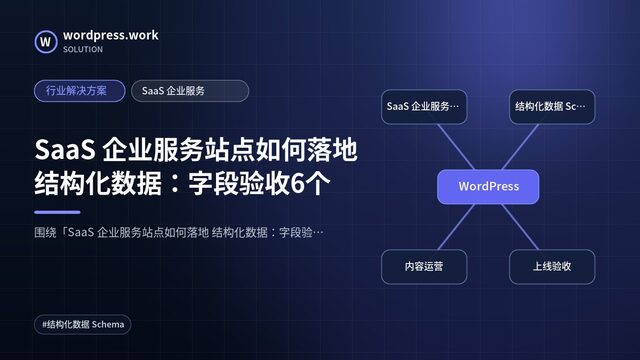 SaaS 企业服务站点如何落地 结构化数据:字段验收6个|行业解决方案|SaaS 企业服务