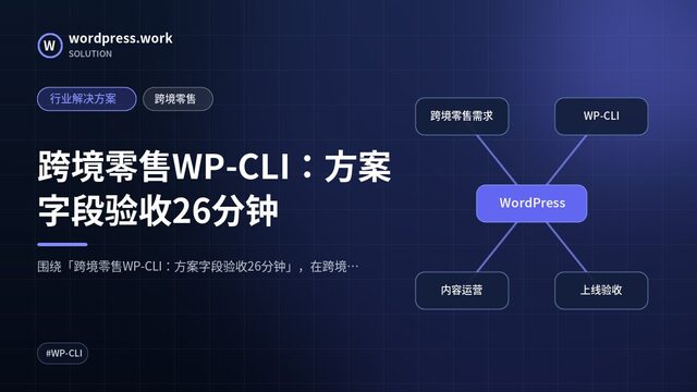跨境零售WP-CLI：方案字段验收26分钟｜行业解决方案｜跨境零售