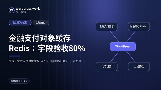 金融支付对象缓存 Redis：字段验收80%｜行业解决方案｜金融支付