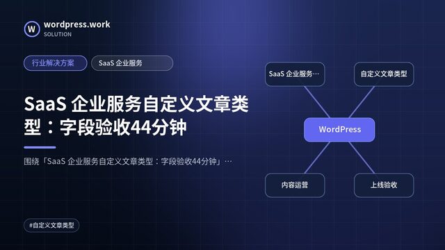 SaaS 企业服务自定义文章类型:字段验收44分钟|行业解决方案|SaaS 企业服务
