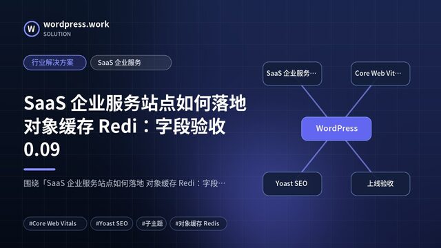 SaaS 企业服务站点如何落地 对象缓存 Redi:字段验收0.09|行业解决方案|SaaS 企业服务