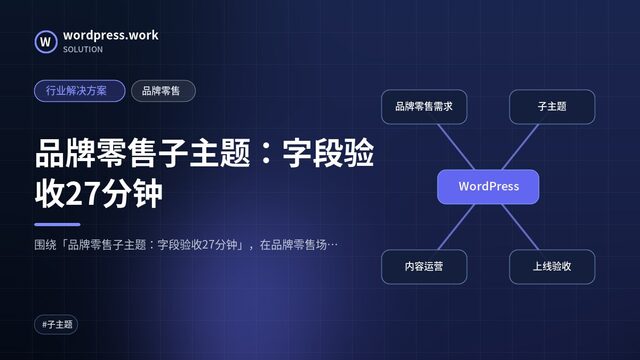 品牌零售子主题：字段验收27分钟｜行业解决方案｜品牌零售