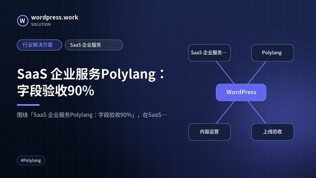 SaaS 企业服务Polylang:字段验收90%|行业解决方案|SaaS 企业服务