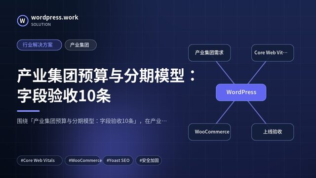 产业集团预算与分期模型:字段验收10条|行业解决方案|产业集团