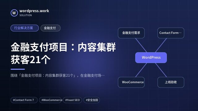 金融支付项目:内容集群获客21个|行业解决方案|金融支付