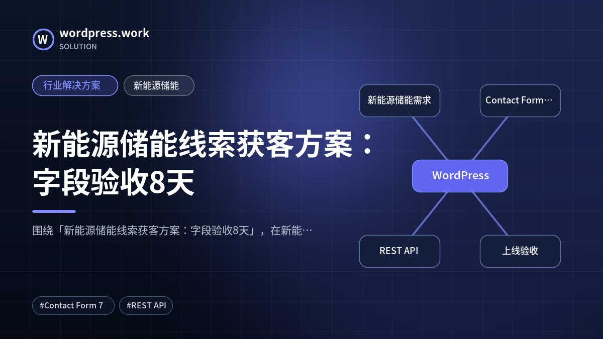 新能源储能线索获客方案：字段验收8天｜行业解决方案｜新能源储能