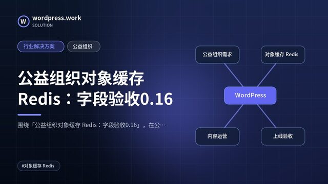 公益组织对象缓存 Redis:字段验收0.16|行业解决方案|公益组织