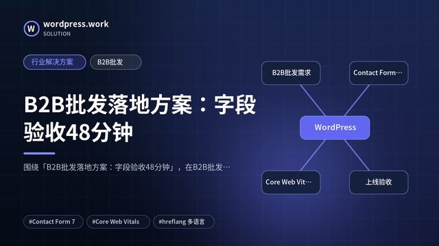 B2B批发落地方案：字段验收48分钟｜行业解决方案｜B2B批发
