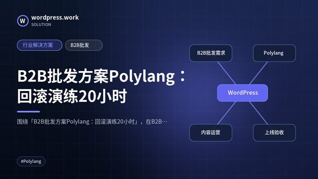 B2B批发方案Polylang：回滚演练20小时｜行业解决方案｜B2B批发