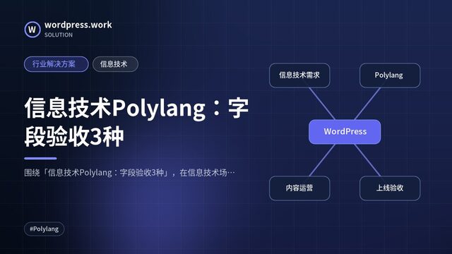 信息技术Polylang：字段验收3种｜行业解决方案｜信息技术