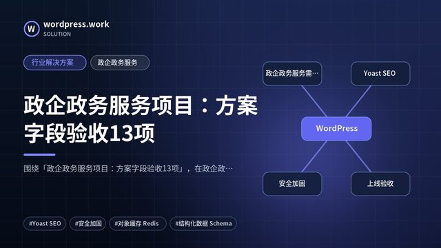 政企政务服务项目：方案字段验收13项｜行业解决方案｜政企政务服务
