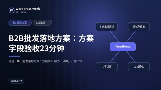 B2B批发落地方案：方案字段验收23分钟｜行业解决方案｜B2B批发