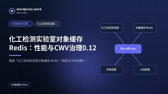 化工检测实验室对象缓存 Redis：性能与CWV治理0.12｜行业解决方案｜化工检测实验室