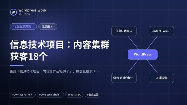 信息技术项目：内容集群获客18个｜行业解决方案｜信息技术