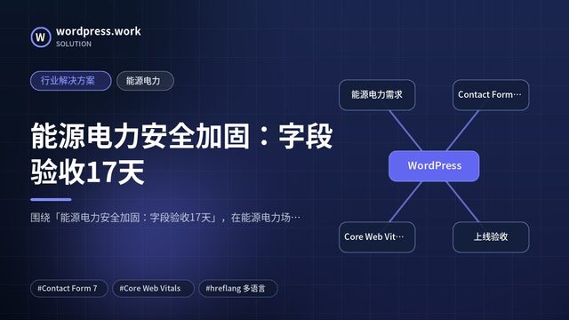 能源电力安全加固:字段验收17天|行业解决方案|能源电力